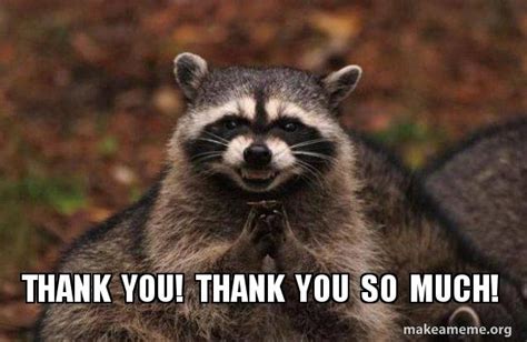 racoon meme|raccoon thank you meme.